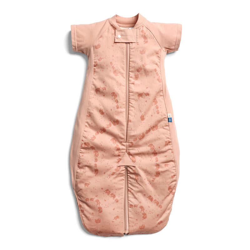 Sleep Suit Bag 1.0 TOG