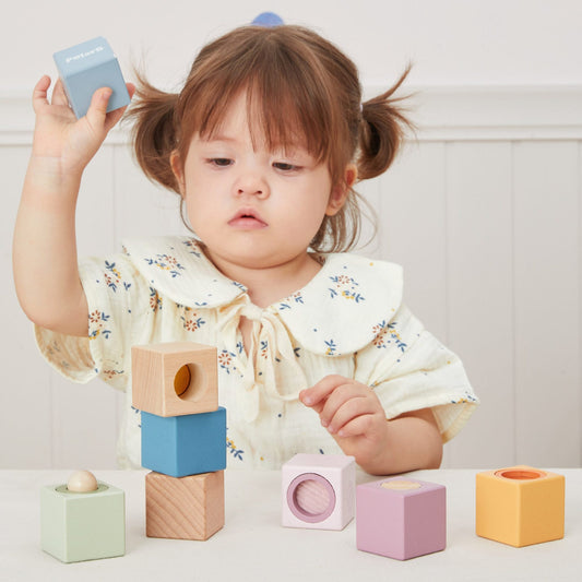 Polar B Sensory Blocks