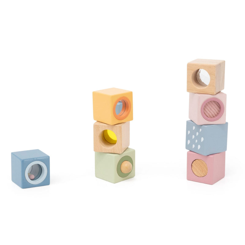 Polar B Sensory Blocks