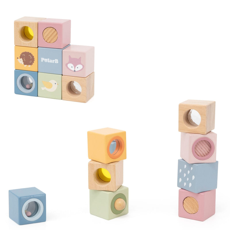 Polar B Sensory Blocks