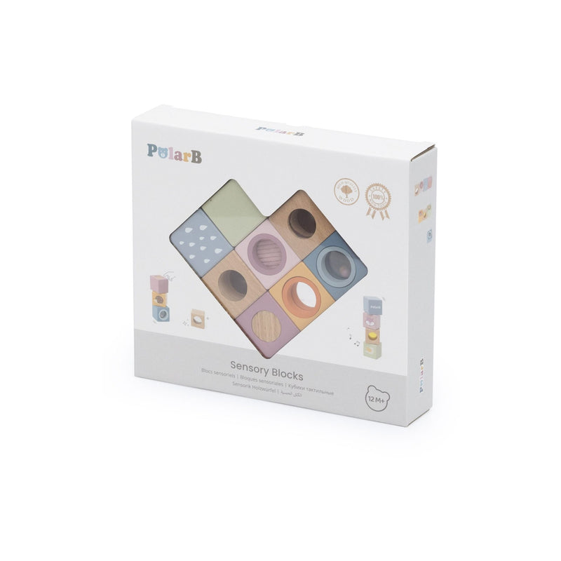 Polar B Sensory Blocks