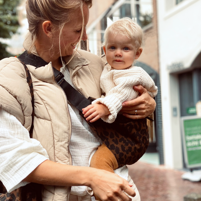 Wildride Toddler Carrier