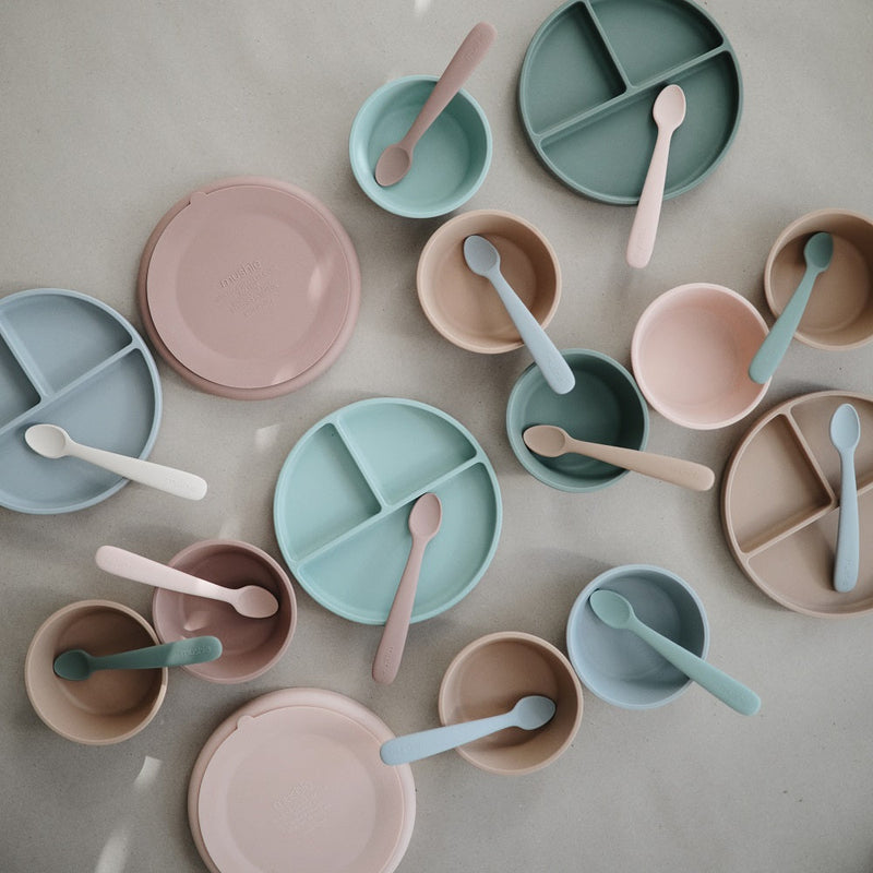 Silicone "Stay-Put" Suction Bowl