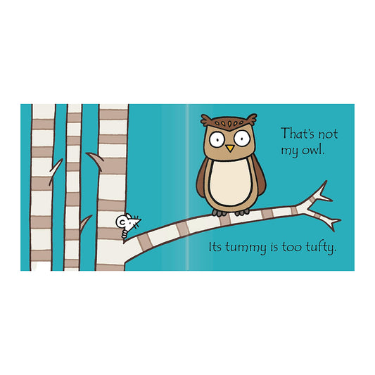 That's not my owl.