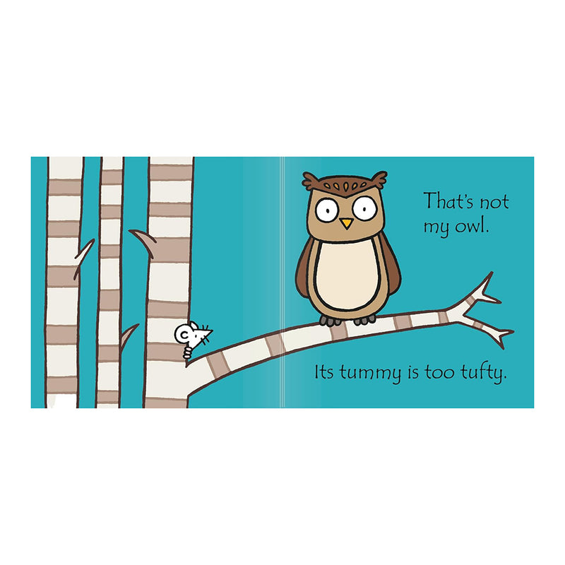That's not my owl.