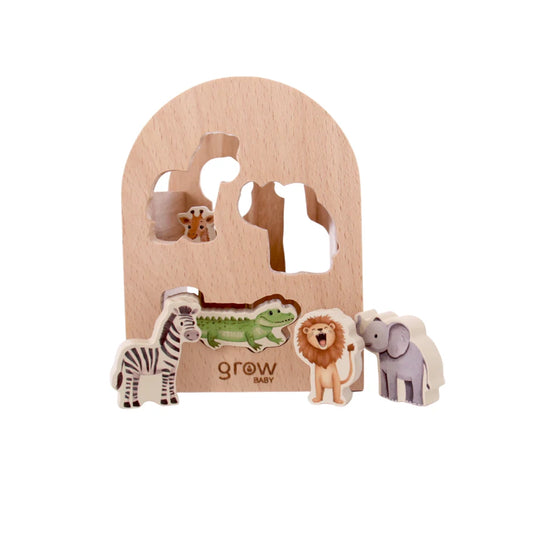 Shape Sorter | On Safari