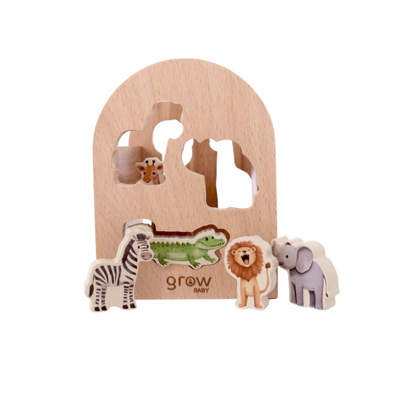 Shape Sorter | On Safari