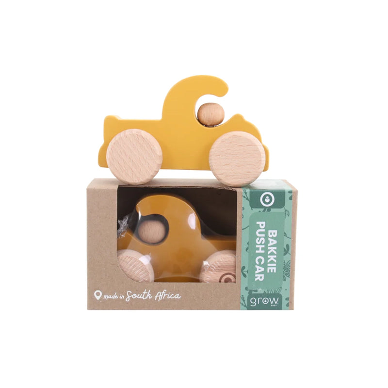 Bakkie / Truck Push Car