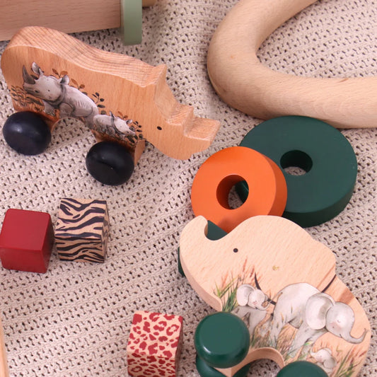 Rhino Push Toy