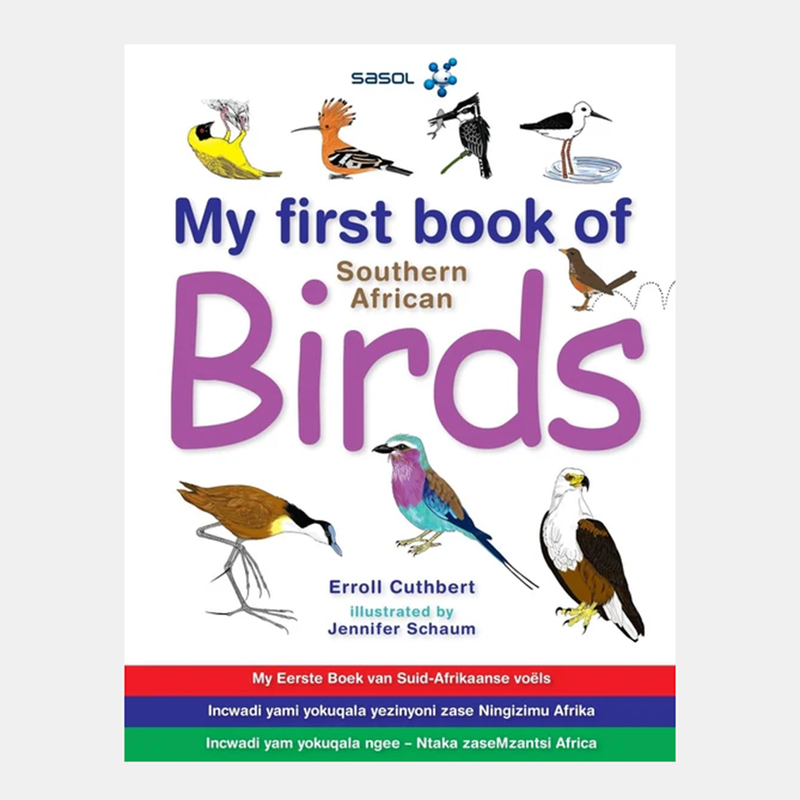 My First Book Of Southern African Birds