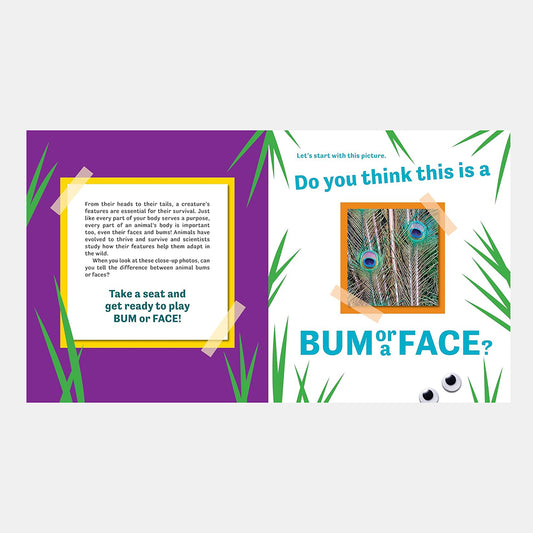 Bum or Face? Revenge of the Bums