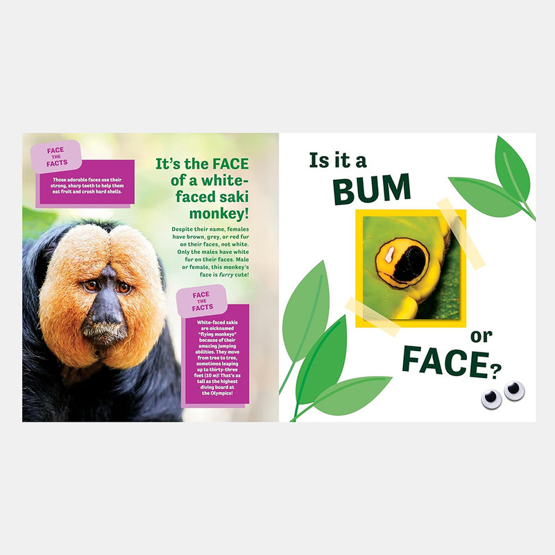 Bum or Face? Revenge of the Bums