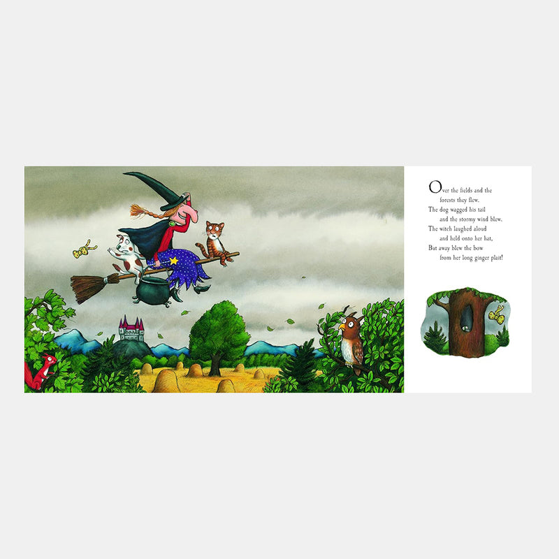 Room on The Broom | Julia Donaldson