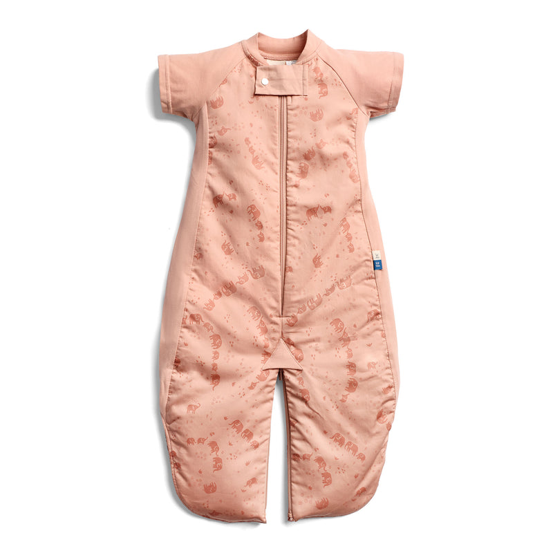 Sleep Suit Bag 1.0 TOG