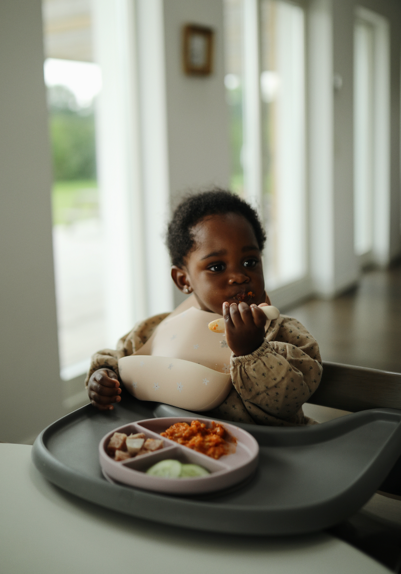 Silicone "No Mess" Bib