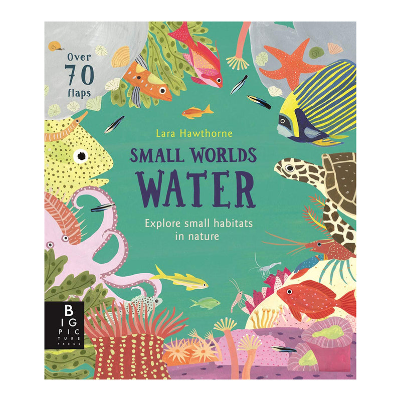 Small Worlds: Water by Lily Murray (English) Board Book Book